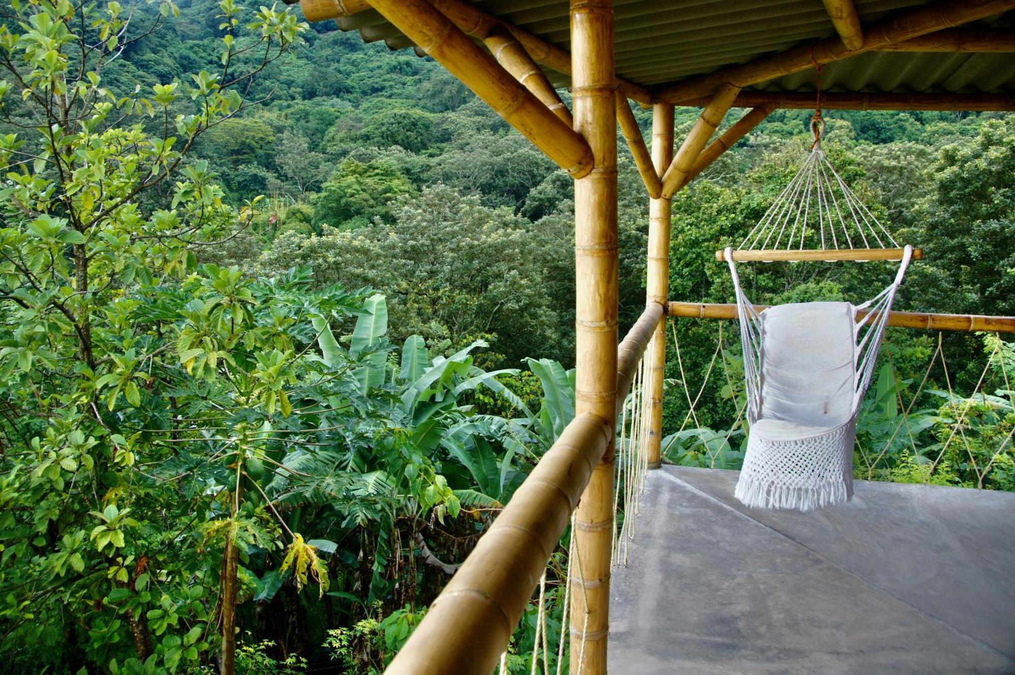 Hostal Vista Verde Minca Extérieur photo