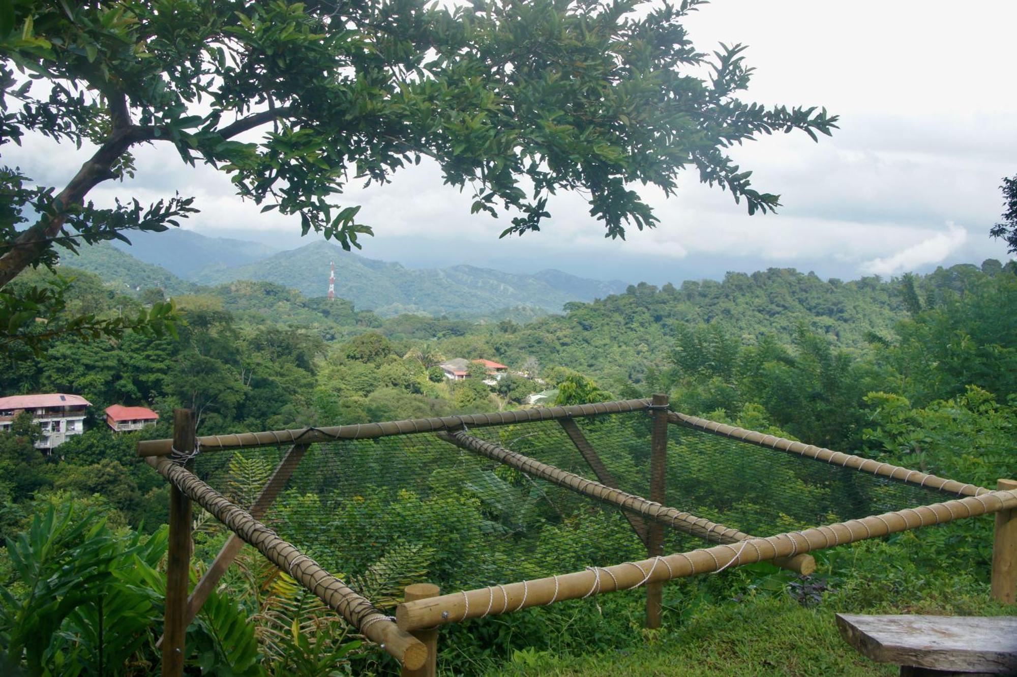 Hostal Vista Verde Minca Extérieur photo