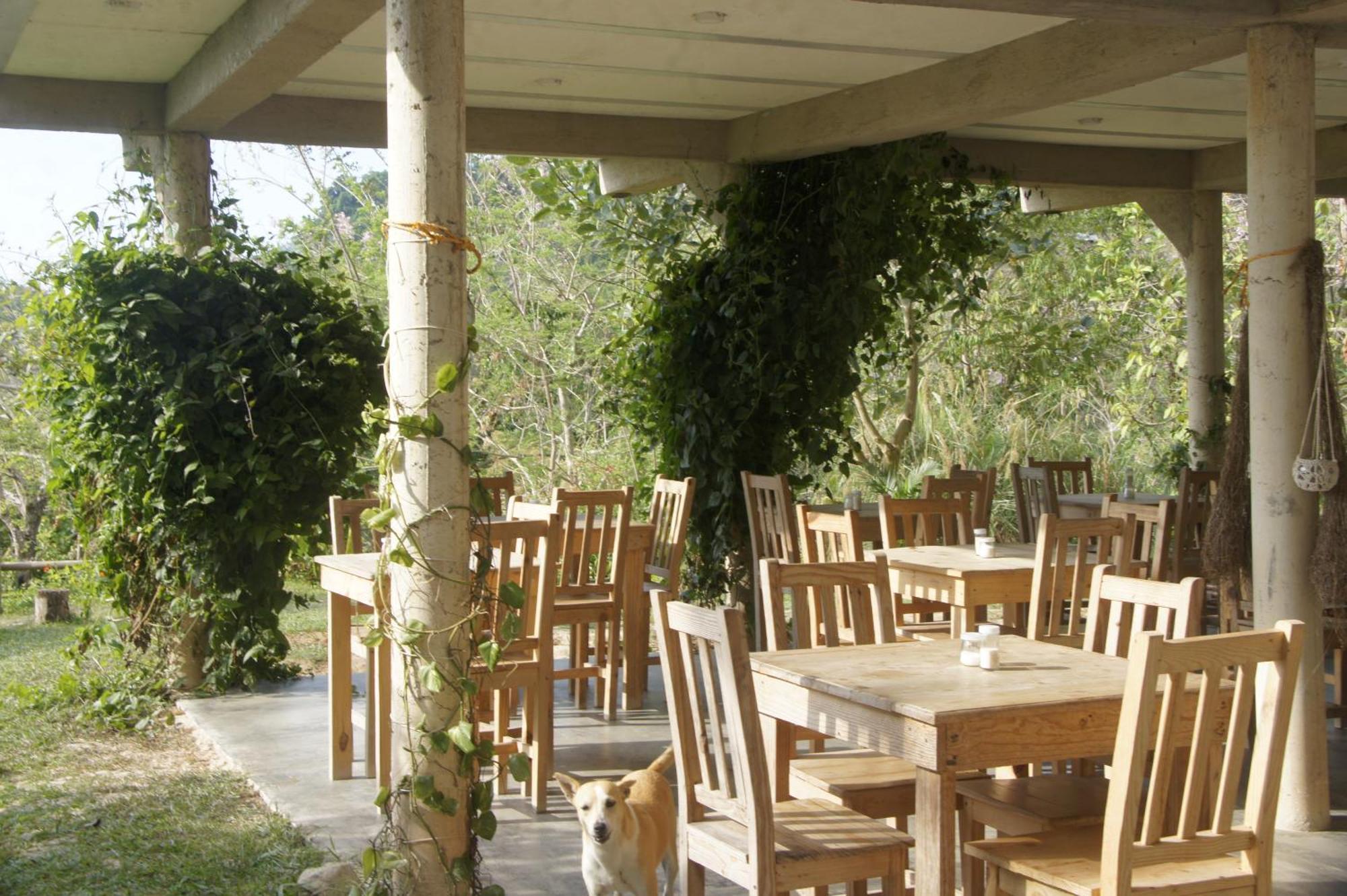 Hostal Vista Verde Minca Extérieur photo